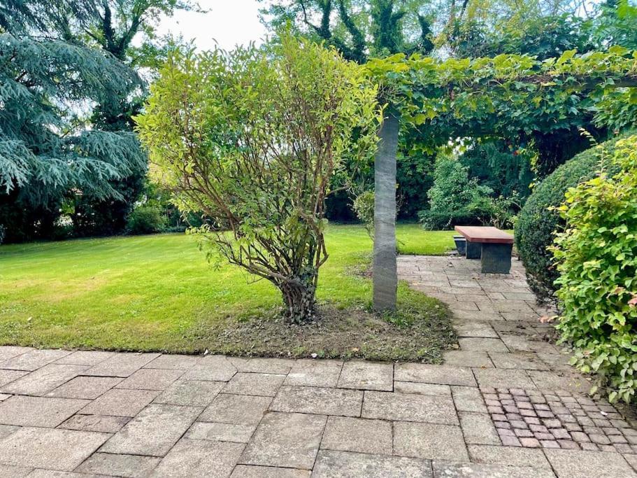 Gartenparadies Singen